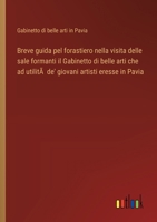 Breve guida pel forastiero nella visita delle sale formanti il Gabinetto di belle arti che ad utilitÃ de' giovani artisti eresse in Pavia (Italian Edition) 3385080533 Book Cover