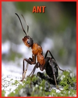 Ant: Childrens Book Amazing Facts & Pictures about Ant B08W7SPMD9 Book Cover