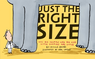 Just the Right Size: Why Big Animals Are Big and Little Animals Are Little 0763639249 Book Cover