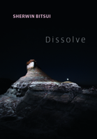 Dissolve 155659545X Book Cover