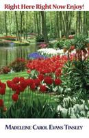 Right Here Right Now Enjoy! 098296868X Book Cover