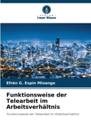 Funktionsweise der Telearbeit im Arbeitsverhältnis (German Edition) 6208482410 Book Cover