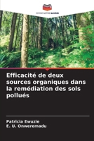 Efficacité de deux sources organiques dans la remédiation des sols pollués (French Edition) 6208941741 Book Cover