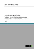 Schwangerschaftsdepression: Postnatale Erkrankungen und deren biologischen, psychologischen und sozialen Ursachen 3640722477 Book Cover