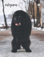 #dogmom: Weekly Planner 2020  | January through December | Perfect Gift for Newfoundland Dog Owners | Calendar Agenda Scheduler and Organizer | Newfoundland dog Edition 1674347375 Book Cover