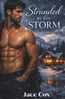 Stranded by the Storm: Stranded in Distress Book 1 B0GCCZ66RK Book Cover