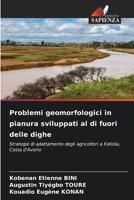 Problemi geomorfologici in pianura sviluppati al di fuori delle dighe (Italian Edition) 6208159091 Book Cover