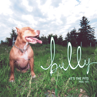 Bully: The Pits 1550226630 Book Cover