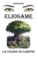 Eliosame - Tome II (French Edition) B0GBTDGM9G Book Cover