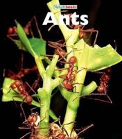 Ants (Naturebooks) 1567660568 Book Cover