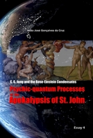 C. G. Jung and the Bose-Einstein Condensates: Psychic-quantum Processes of the Apokalypsis of St. John 6500136276 Book Cover