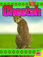 Cheetah B0DZDTV2NX Book Cover