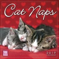 Cat Naps 2019 Wall Calendar 1531903762 Book Cover