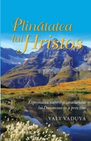 Plinătatea lui Hristos: Exprimarea naturii și caracterului lui Dumnezeu în și prin tine 1930529473 Book Cover