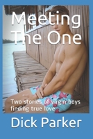 Meeting The One: Two stories of virgin boys finding true love B089M59J5Q Book Cover
