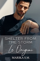 Shelter From The Storm - Le Origini (Italian Edition) B0CQ6YCLNJ Book Cover