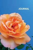 Journal: Peach rose Useful Bullet Journal Dot Grid Daily Planner Student flower christmas gifts 1692516086 Book Cover