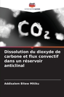 Dissolution du dioxyde de carbone et flux convectif dans un réservoir anticlinal 6204598481 Book Cover