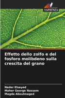 Effetto dello zolfo e del fosforo molibdeno sulla crescita del grano 6205777495 Book Cover
