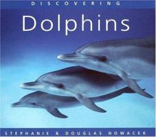 Discovering Dolphins 0760325618 Book Cover
