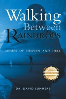 Walking Between Raindrops: Memes of Heaven and Hell 1961845318 Book Cover