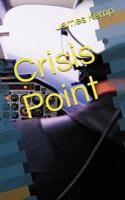 Crisis Point 190995103X Book Cover