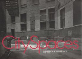 City Spaces: Photographs of Chicago Alleys (Center for American Places - Center Books on American Places) 1930066074 Book Cover