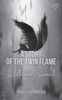 A Story of The Twin Flame B0C6W4FGJP Book Cover