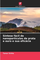 Síntese fácil de nanopartículas de prata e ouro e sua eficácia (Portuguese Edition) 3639856767 Book Cover