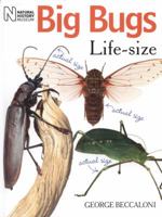 Big Bugs Life-Size 0565092138 Book Cover