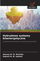 Hybrydowe systemy bioenergetyczne 6209695337 Book Cover