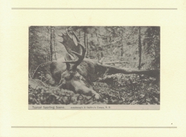 The Hunt 0978158709 Book Cover