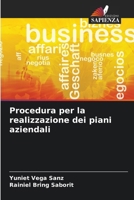 Procedura per la realizzazione dei piani aziendali (Italian Edition) 620668136X Book Cover