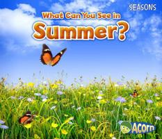 What Can You See in Summer? 1484603559 Book Cover