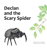 Declan and the Scary Spider 1958195324 Book Cover