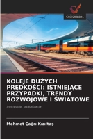 Koleje DuŻych PrĘdkoŚci: IstniejĄce Przypadki, Trendy Rozwojowe I Światowe 620935369X Book Cover