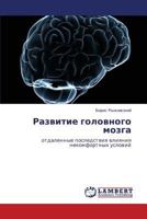 Развитие головного мозга: отдаленные последствия влияния некомфортных условий 3846520632 Book Cover