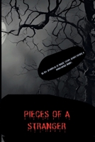 Pieces of a Stranger: A Psychological Thriller B0DTV5SLPB Book Cover