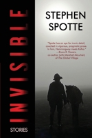 Invisible : Stories 1948598108 Book Cover