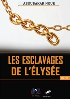 Les Esclavages De L'élysée (French Edition) 9956661082 Book Cover