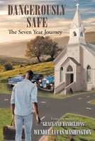 Dangerously Safe: The Seven Year Journey 1646548248 Book Cover