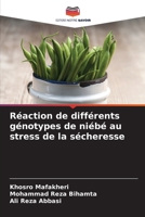Réaction de différents génotypes de niébé au stress de la sécheresse (French Edition) 6207732235 Book Cover