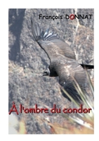 À l'ombre du condor (French Edition) 2810627126 Book Cover