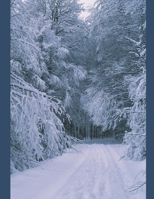 The Notebook 1656698080 Book Cover