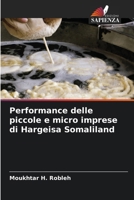 Performance delle piccole e micro imprese di Hargeisa Somaliland (Italian Edition) 620835465X Book Cover