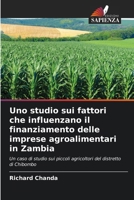Uno studio sui fattori che influenzano il finanziamento delle imprese agroalimentari in Zambia (Italian Edition) 6207661710 Book Cover