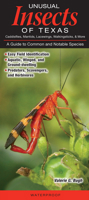 Unusual Insects of Texas Caddisflies, Mantides, Lacewings, Walkingsticks, & More: A Guide to Common and Notable Species 1732875219 Book Cover