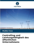 Controlling und Leistungsfähigkeit des öffentlichen Unternehmens (German Edition) 6630458788 Book Cover