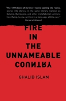 Fire In the Unnameable Country 0670067008 Book Cover