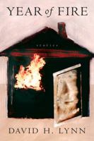 Year of Fire: Stories (Harvest Original) 0156030772 Book Cover